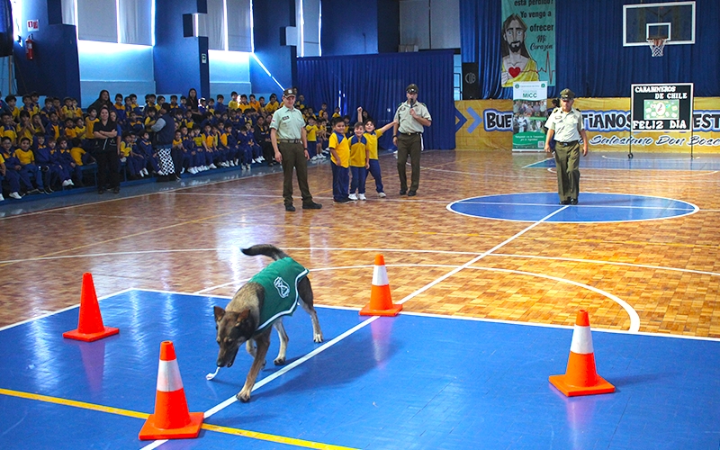 Colegio Don Bosco recibe visita del escuadrón canino de Carabineros de Chile
