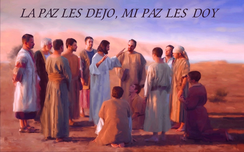 Evangelio martes 4 de mayo 2021.